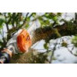 HTA 135 Tronçonneuse sur perche à batterie STIHL (guide 30cm)